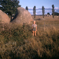 3-6 enorme stenen in natuurreservaat bij Wallangara