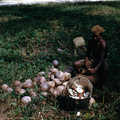 4-30 A6 inlander aan het kokosnoten pellen