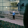 8 michelle dierentuin september 1965