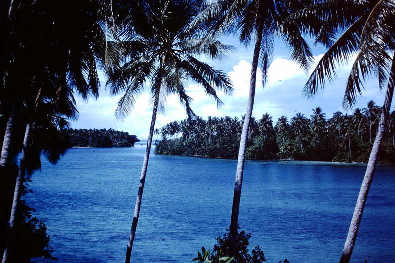1960 Dec - Tommy's Island.JPG