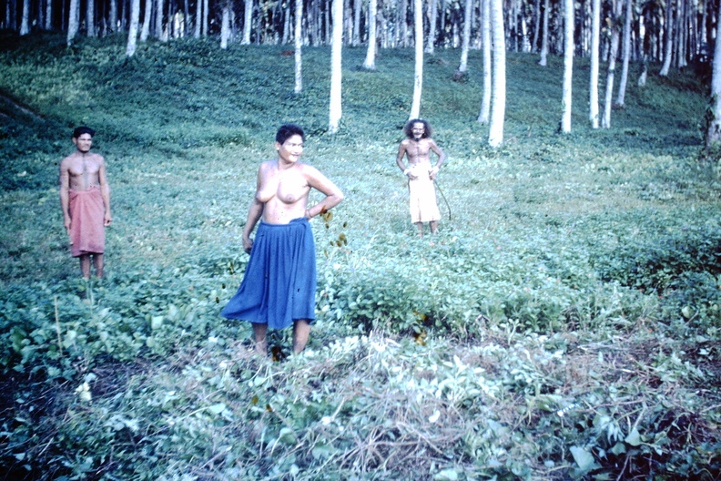 1961 July - Bush women Somata.JPG