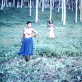 1961 July - Bush women Somata