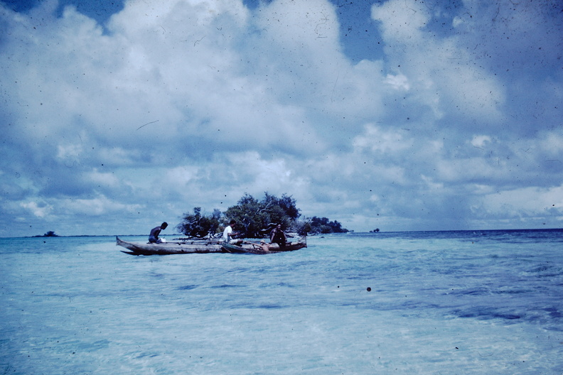 1962 March - reef.JPG
